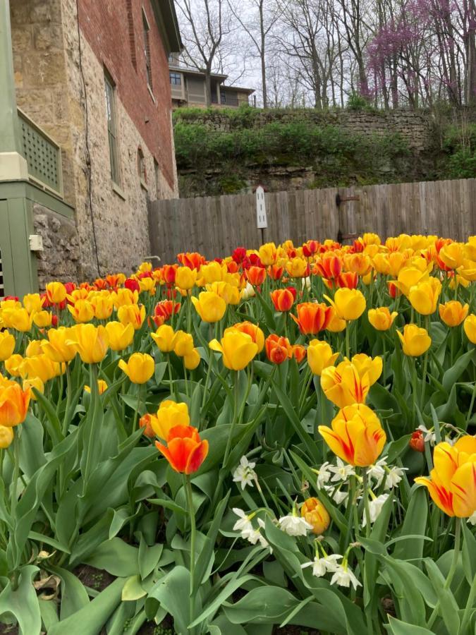 Abe'S Spring Street Guest House Galena Luaran gambar